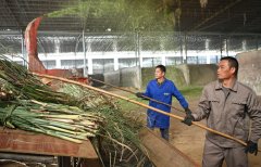 一财产正在取生物手艺、食物工程等范畴的跨界
